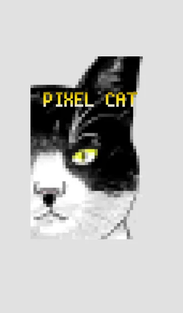 [LINE着せ替え] PIXEL CATの画像1