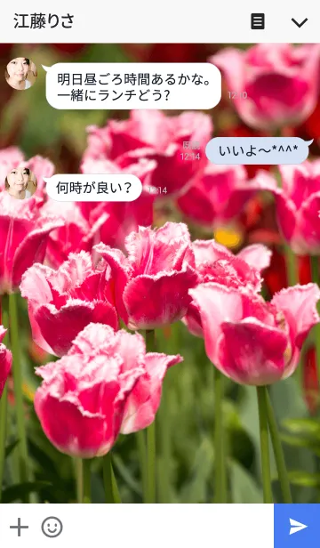 [LINE着せ替え] 赤いチューリップの画像3