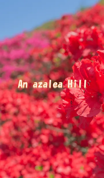 [LINE着せ替え] つつじの丘の画像1