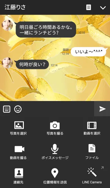 [LINE着せ替え] FALLING FEATHERS -GOLD-の画像4