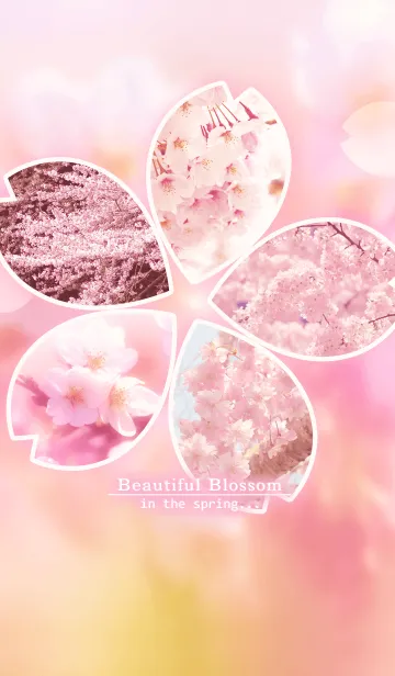 [LINE着せ替え] Beautiful Blossomの画像1