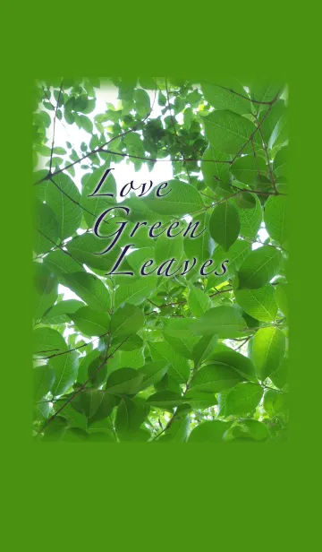 Love Green leavesー新緑が大好きのLINE着せ替え