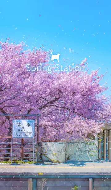 [LINE着せ替え] Spring Stationの画像1