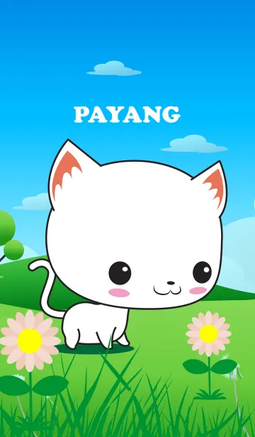 Payangの着せ替えメイン画像