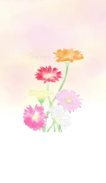 [LINE着せ替え] Gerbera ~water color~の画像1