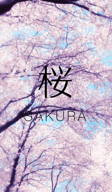 [LINE着せ替え] sakura -桜-の画像1