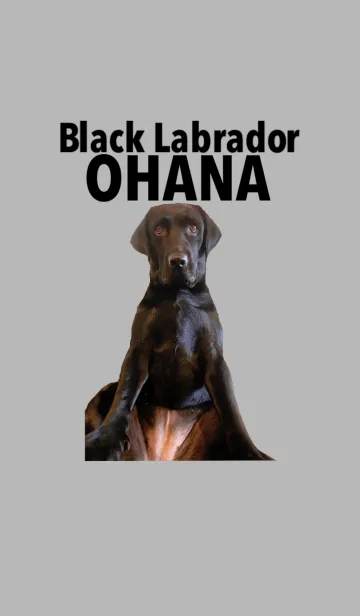 [LINE着せ替え] 黒ラブハンちゃん 2の画像1