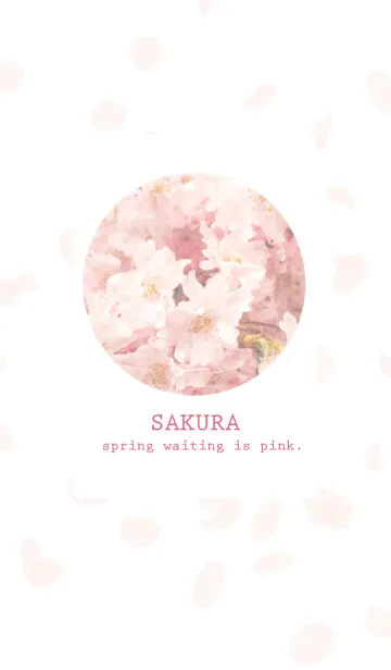 [LINE着せ替え] 〜桜〜春待ちピンクの画像1