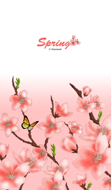 [LINE着せ替え] Spring sakuraの画像1
