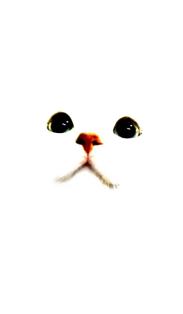 ねこがおの着せ替えメイン画像
