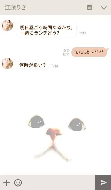 [LINE着せ替え] ねこがおの画像3