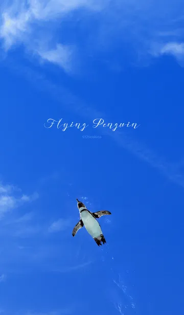 [LINE着せ替え] Flying Penguinの画像1