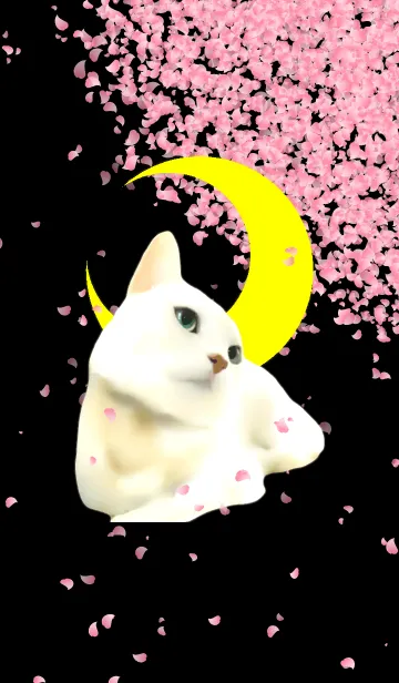 [LINE着せ替え] 夜桜猫の画像1