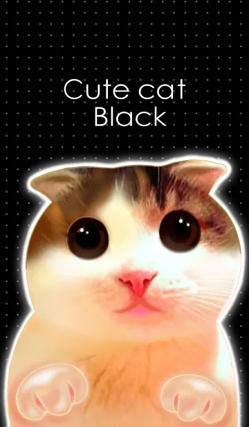 Cute Cat Blackの着せ替えメイン画像