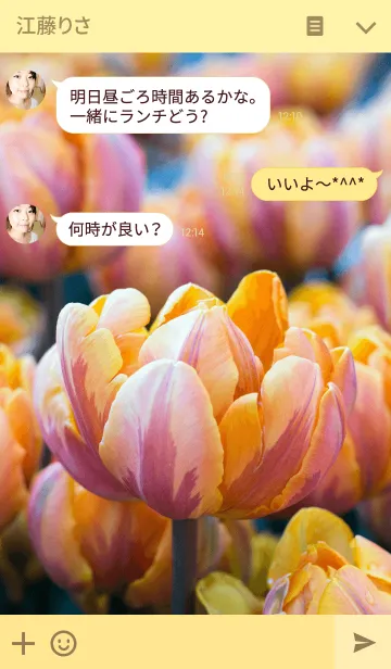 [LINE着せ替え] 赤と黄のチューリップの画像3
