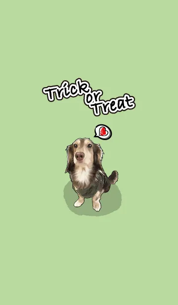 [LINE着せ替え] Dachshund century-egg soldierの画像1