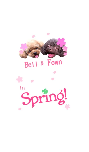 [LINE着せ替え] Bell＆Fown 〜春〜の画像1