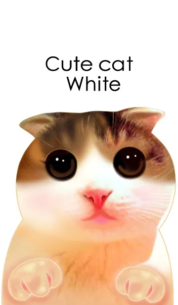 Cute Cat Whiteの着せ替えメイン画像