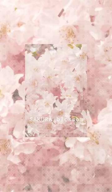 ＊SAKURA blossom＊のLINE着せ替え