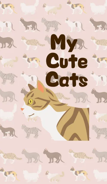 猫大好き ver3のLINE着せ替え