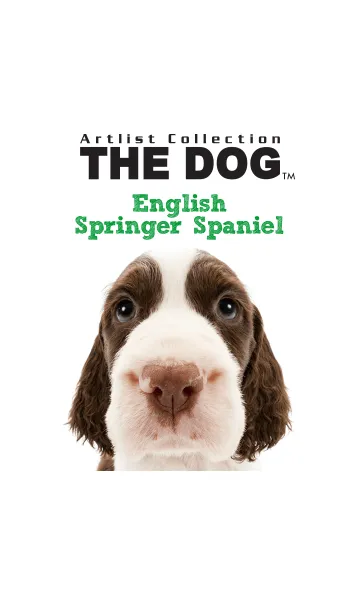 THE DOG イングリッシュ•スプリンガーの着せ替えメイン画像