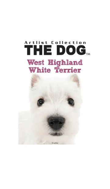 [LINE着せ替え] THE DOG ウェストハイランドホワイトテリアの画像1