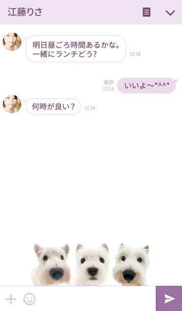 [LINE着せ替え] THE DOG ウェストハイランドホワイトテリアの画像3