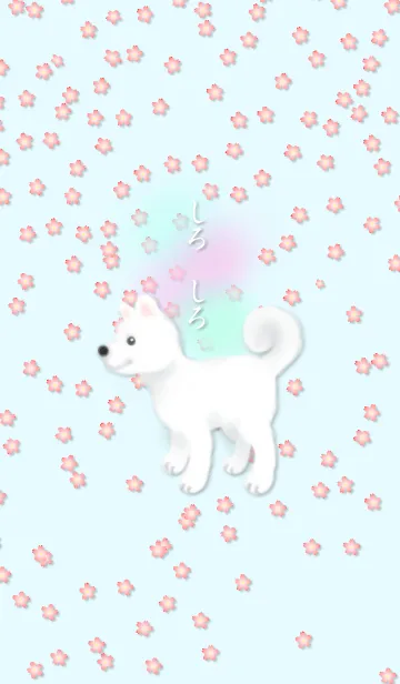 [LINE着せ替え] しろ しろー白い犬の画像1