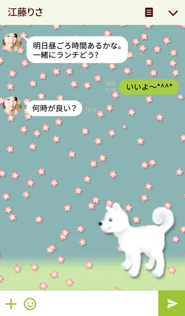 [LINE着せ替え] しろ しろー白い犬の画像3