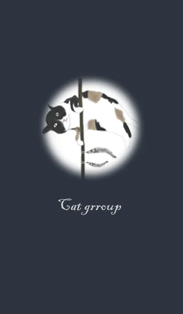 [LINE着せ替え] Cat groupの画像1