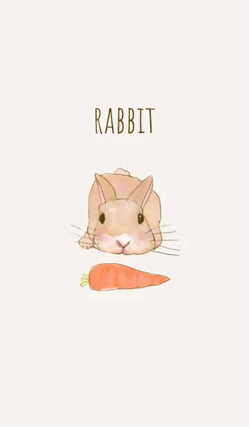 [LINE着せ替え] RABBIT -carrot-の画像1