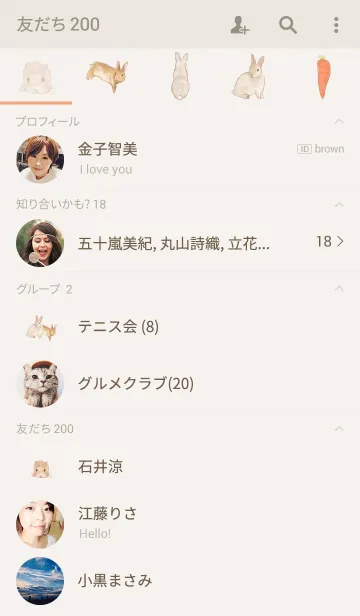 [LINE着せ替え] RABBIT -carrot-の画像2