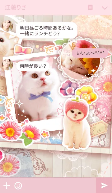 [LINE着せ替え] 美人すぎる猫『うらちゃん』の画像3