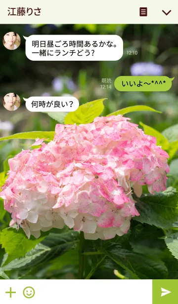 [LINE着せ替え] 色づきの紫陽花の画像3