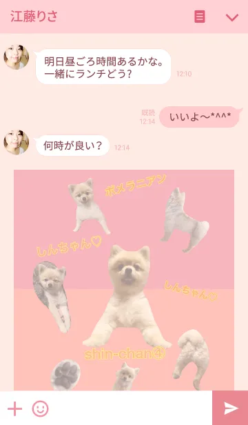 [LINE着せ替え] 可愛いポメラニアンしんちゃんno.4の画像3