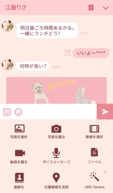 [LINE着せ替え] 可愛いポメラニアンしんちゃんno.4の画像4