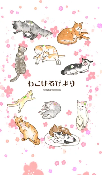[LINE着せ替え] ねこはるびよりの画像1