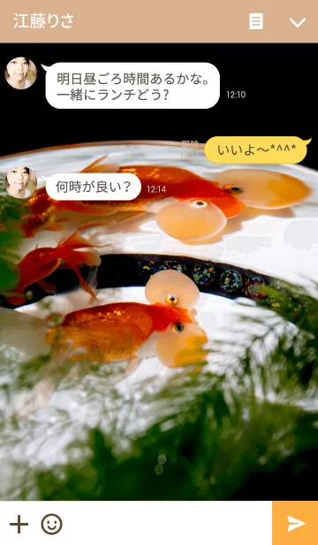 [LINE着せ替え] 水泡眼-金魚-の画像3
