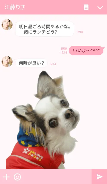 [LINE着せ替え] チワワのCUTEなきゅうと君の画像3