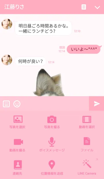 [LINE着せ替え] チワワのCUTEなきゅうと君の画像4