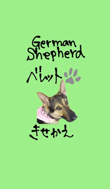 [LINE着せ替え] ジャーマンシェパード ベレットのきせかえの画像1