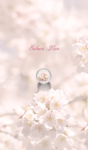 [LINE着せ替え] 桜 LOVEの画像1