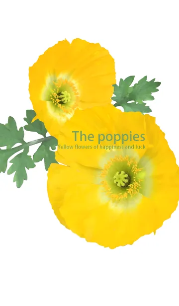 [LINE着せ替え] The poppies ~fortune yellow flowers~の画像1