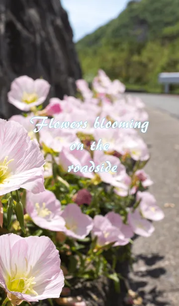 [LINE着せ替え] 道端に咲く花の画像1