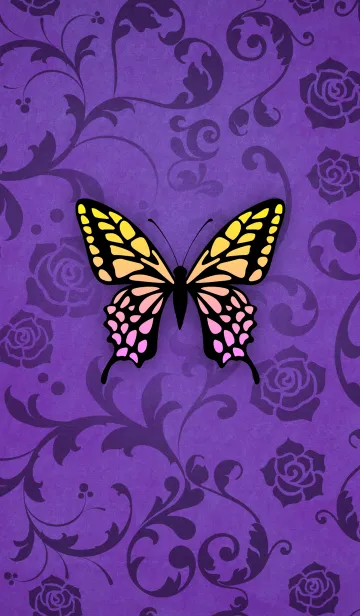-Butterfly-の着せ替えメイン画像