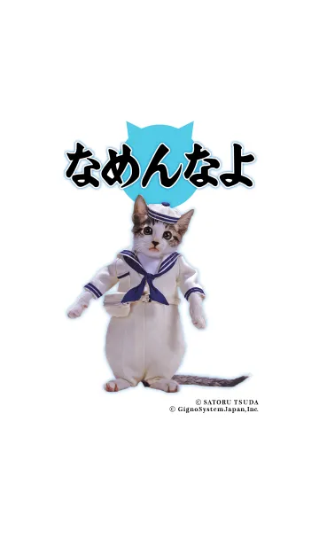 [LINE着せ替え] なめ猫 COOLの画像1