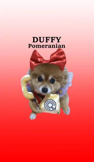 [LINE着せ替え] ポメラニアンDUFFYの犬っぽいっすね！の画像1