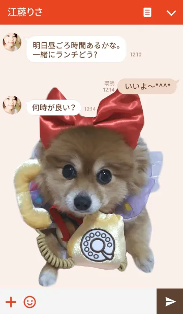 [LINE着せ替え] ポメラニアンDUFFYの犬っぽいっすね！の画像3