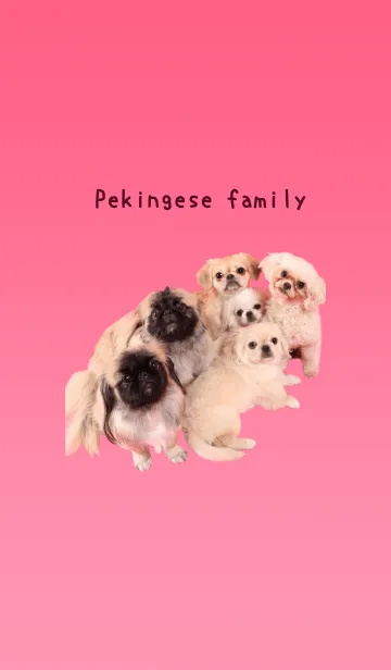 [LINE着せ替え] Pekingese familyの画像1