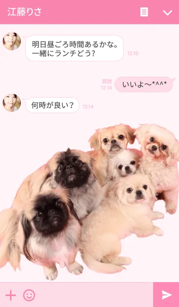 [LINE着せ替え] Pekingese familyの画像3